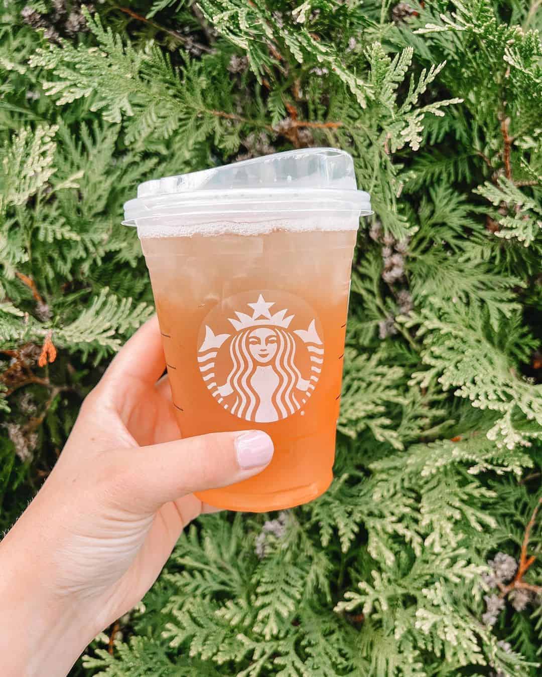Iced Peach Green Tea Lemonade