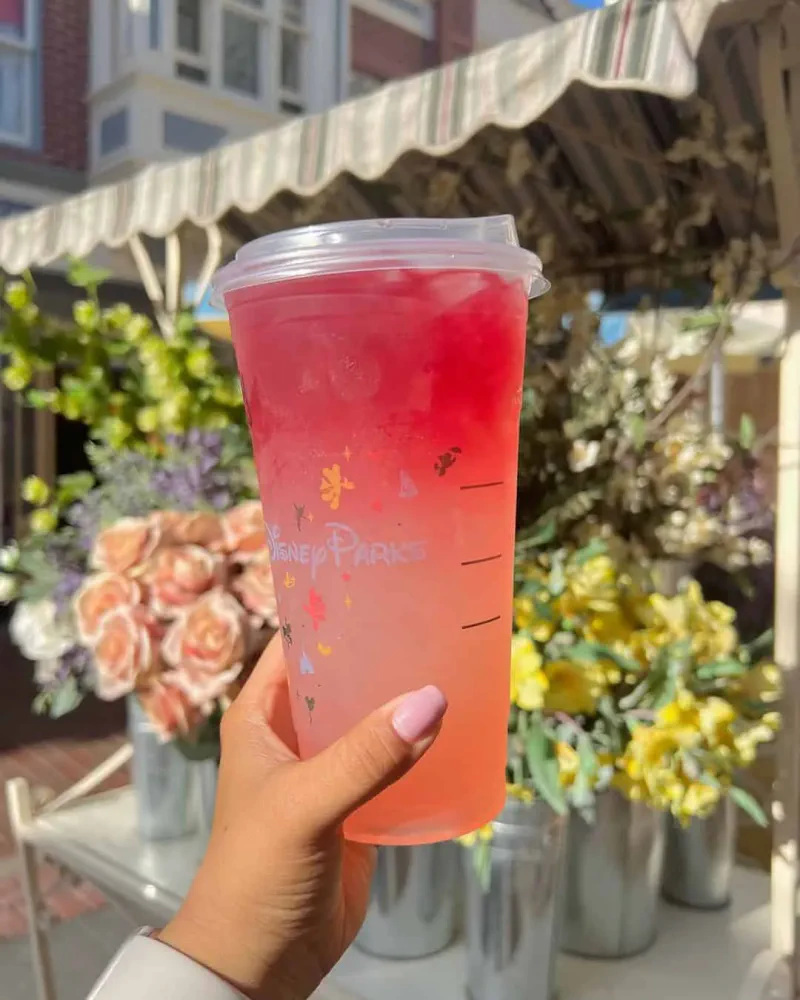 Neverland Sunset - Starbucks