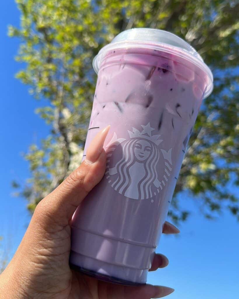 16 Best LowSugar Starbucks Drinks For Diabetics (Also Good)