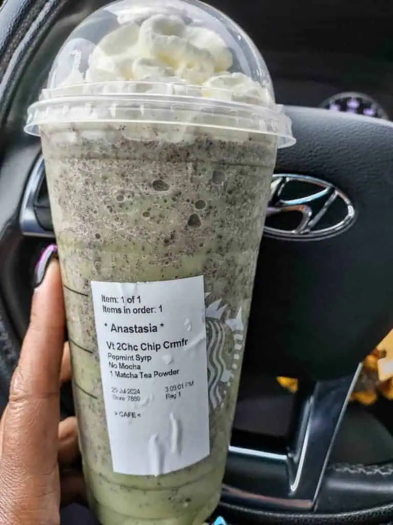 Mint Chocolate Chip