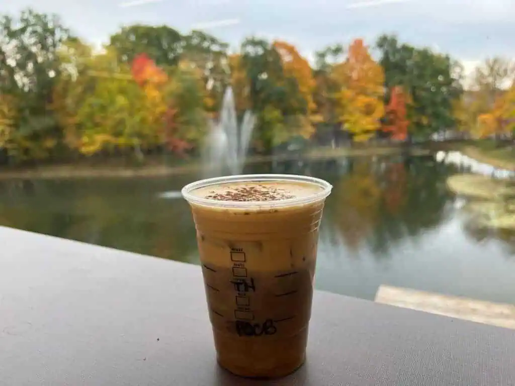Pumpkin-Cream-Cold-Brew-with-Toffee-Nut-syrup