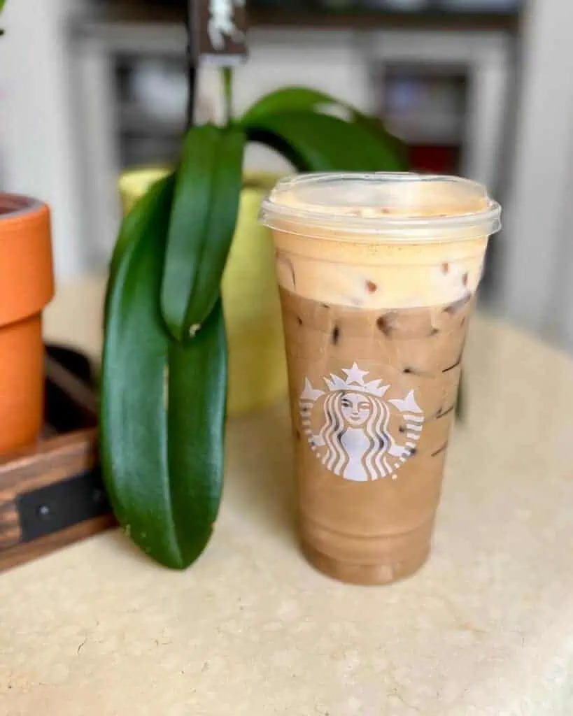 Pumpkin-Soy-Mocha-Espresso
