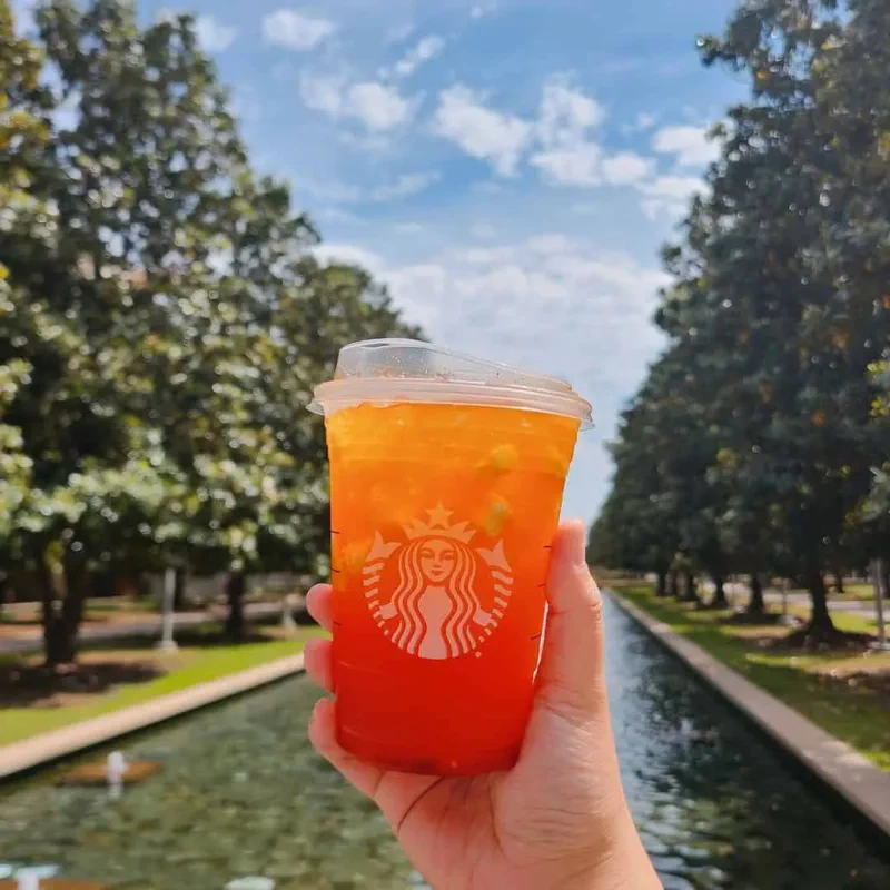 Spicy Pineapple Lemonade