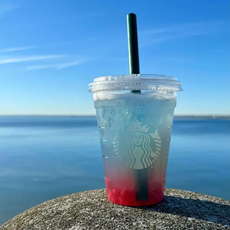 Summer-Berry Lemonade Refreshers