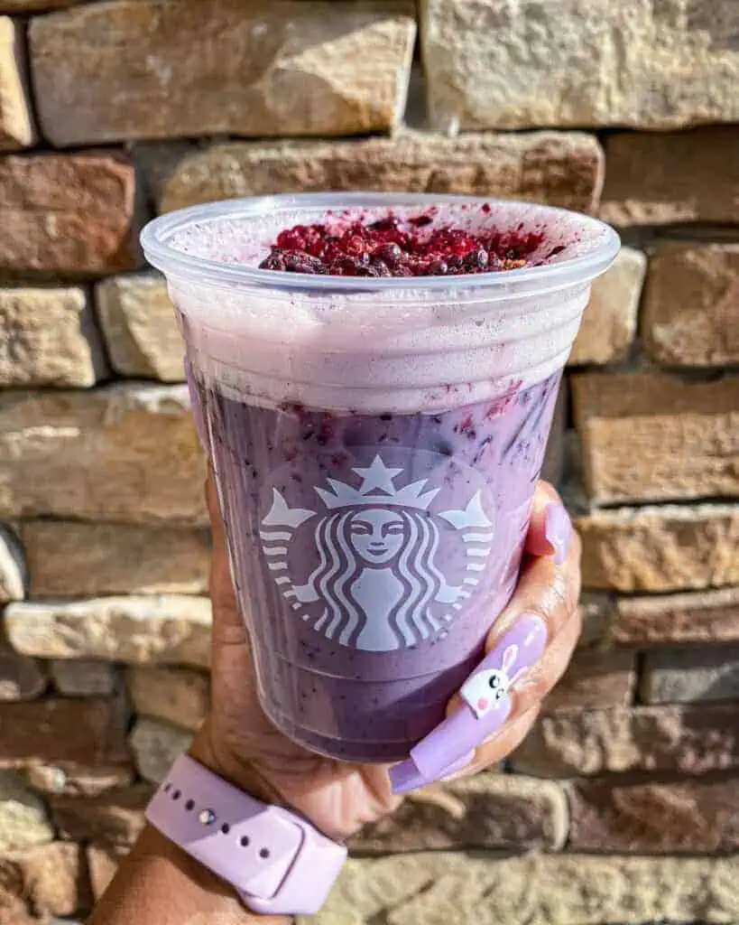 Blackberry Vanilla Passion Tea