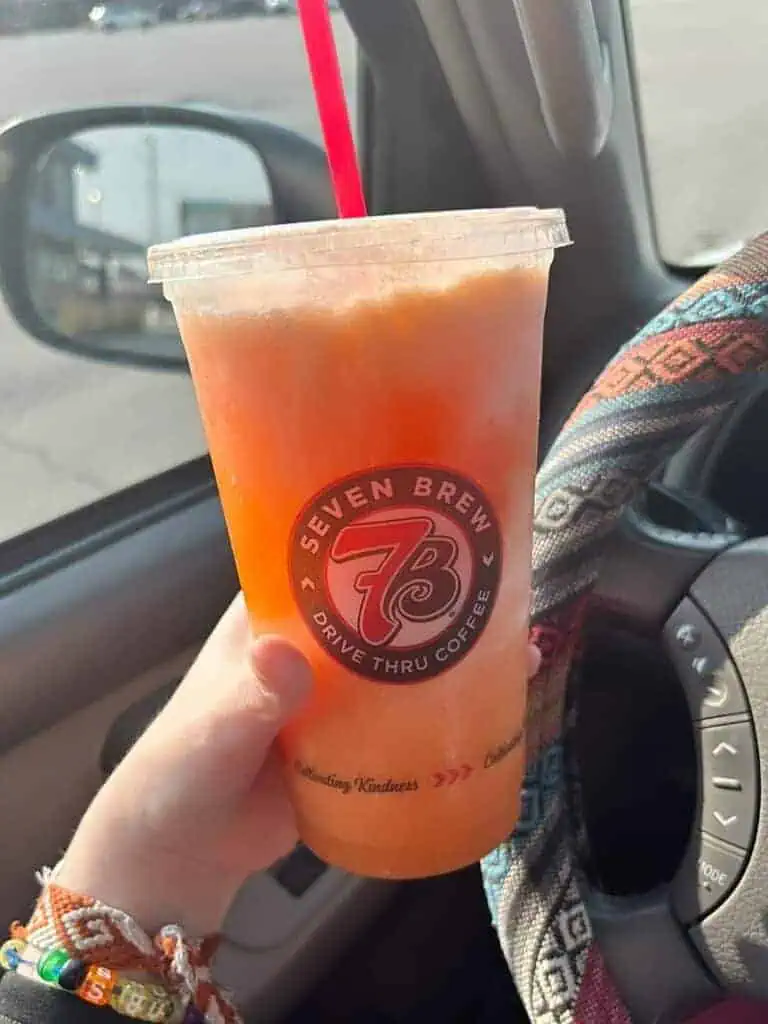 Sugar-Free Blackberry Orange Energy Chiller