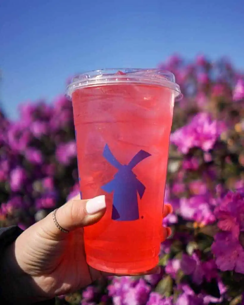 Sugar-Free Iced Double Rainbro