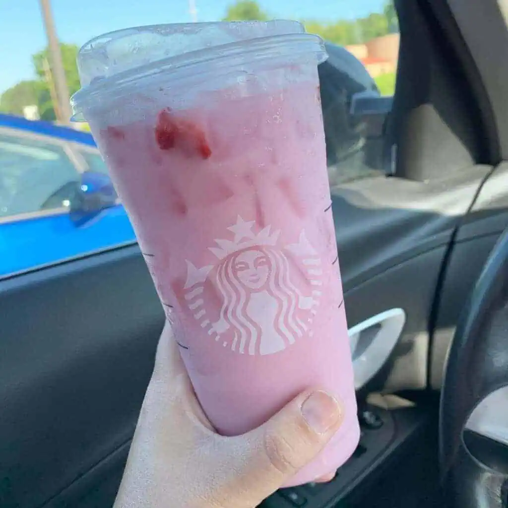 Summer-Berry-Refresher-