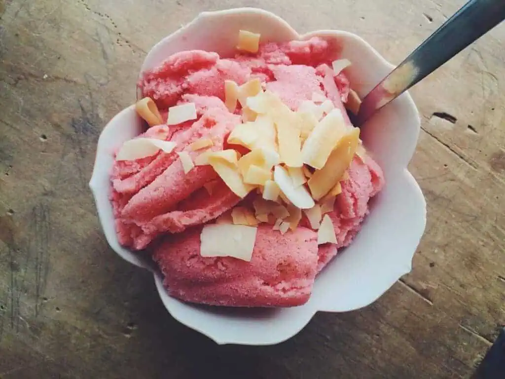 Watermelon Coconut Ice Cream