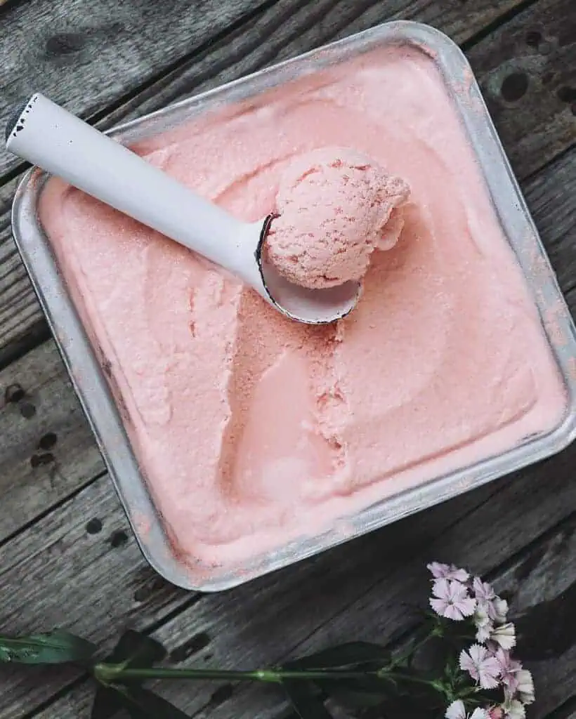 Watermelon Ice Cream