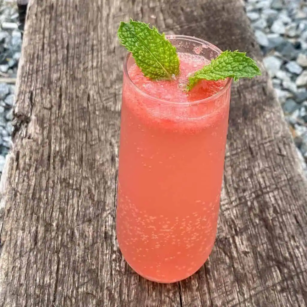 Watermelon Mimosa