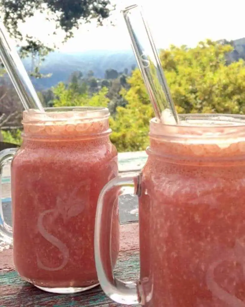 Watermelon coconut smoothie 