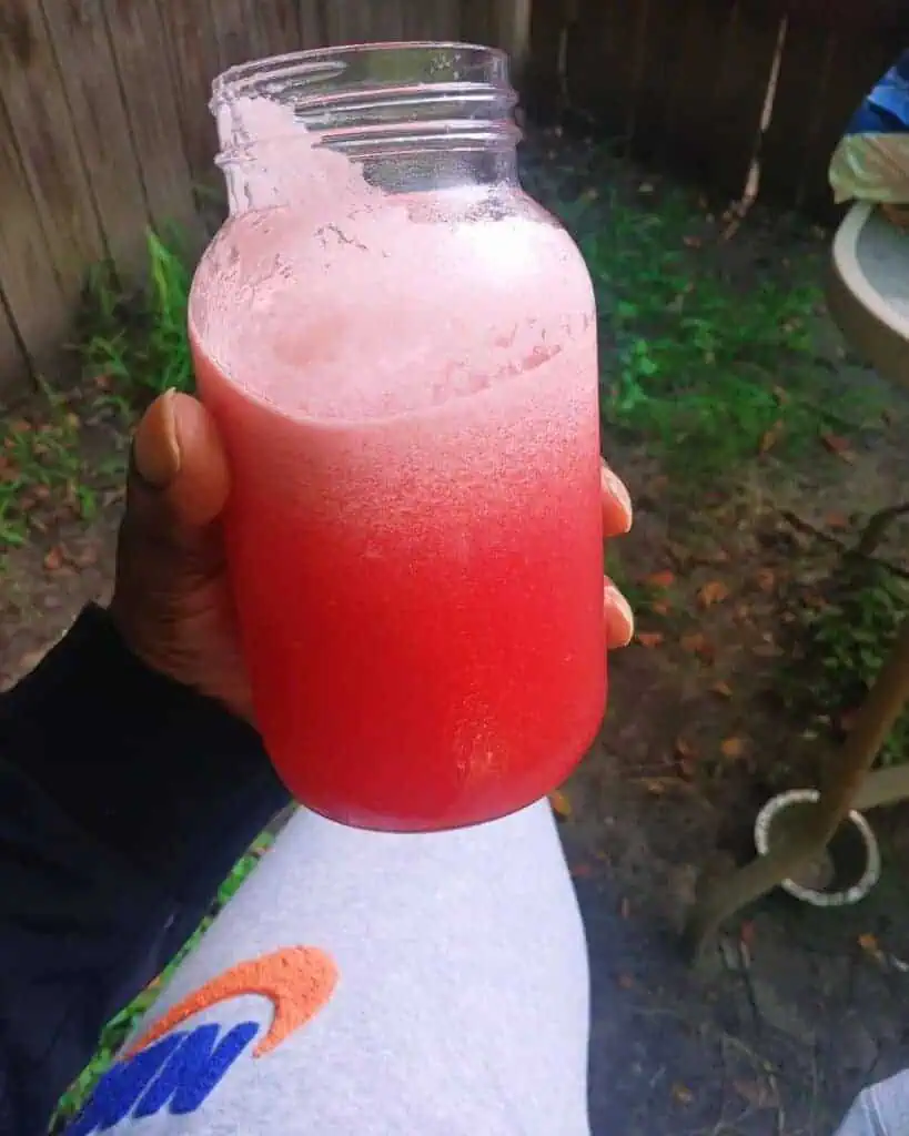 Watermelon coconut water mix