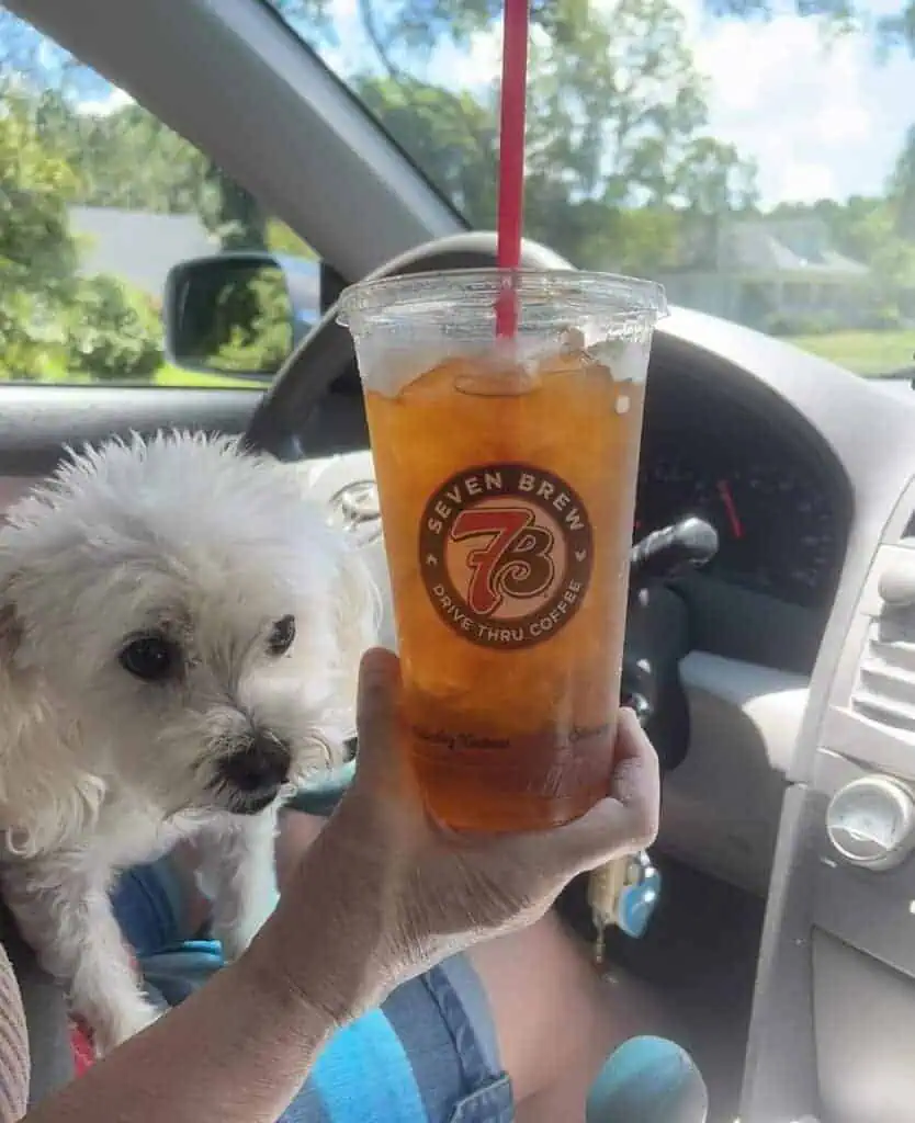 Paris tea, orange, lavender, and cane sugar