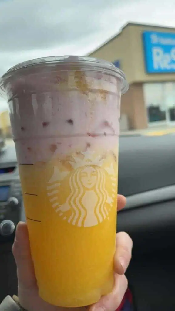 Strawberry Vanilla Paradise Drink