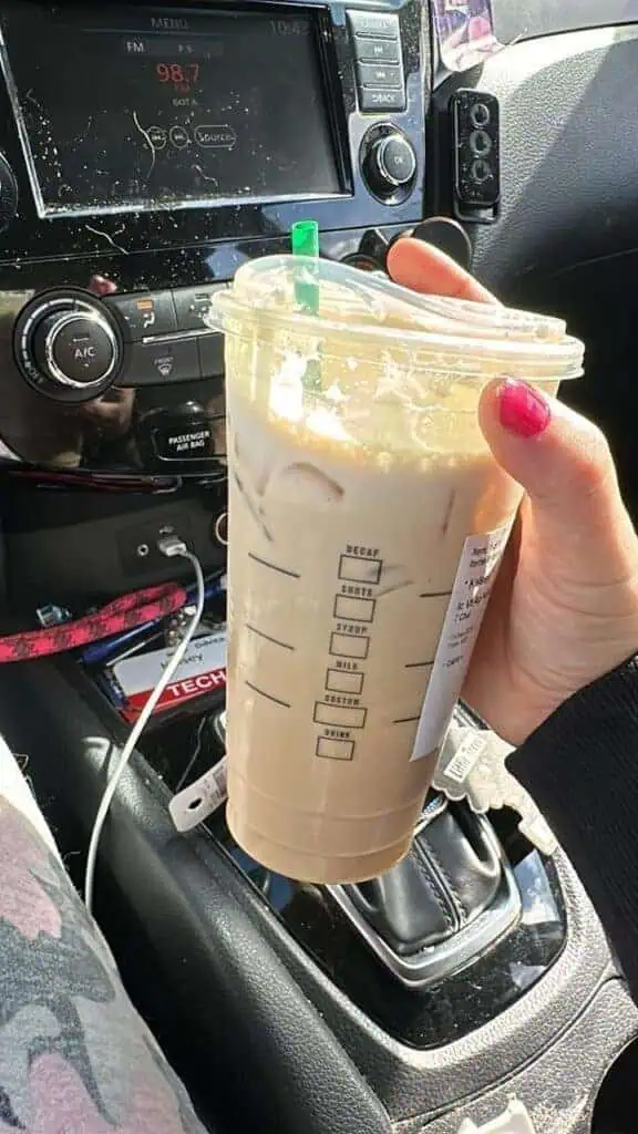 Apple Crisp Nondairy Cream Chai