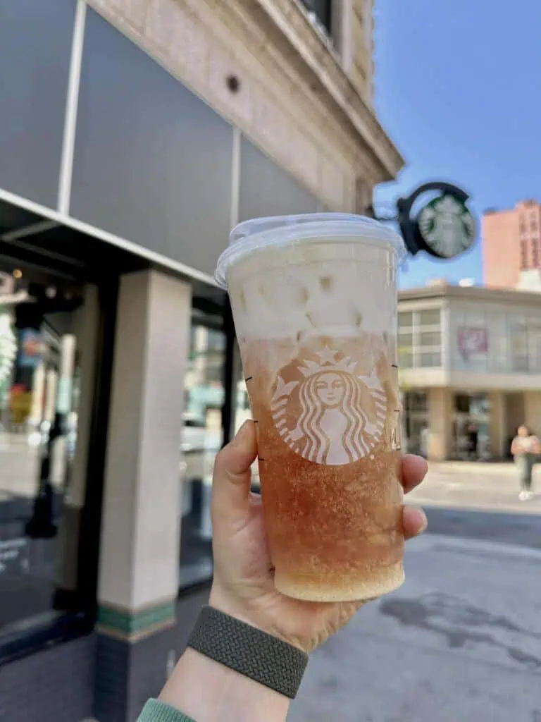 Iced Apple Pie Tea