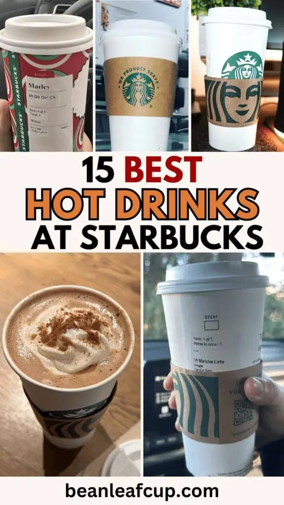 starbucks Hot Drinks