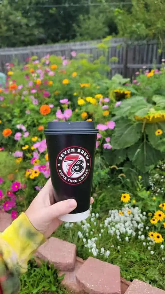 7 brew hot drinks