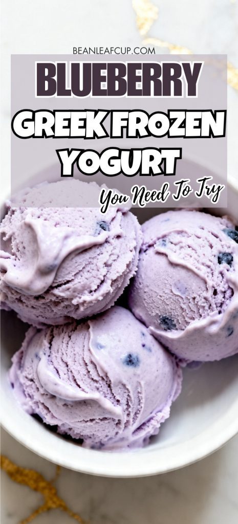 Blueberry Greek Frozen Yogurt