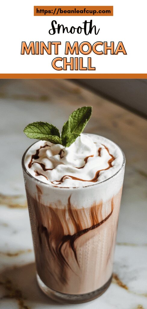 Mint Mocha Chill