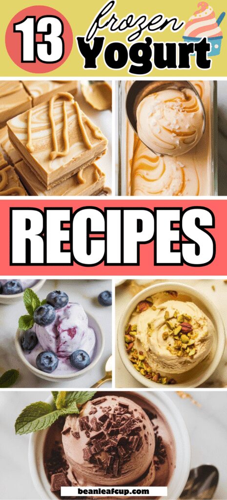 Frozen Yogurt Recipes