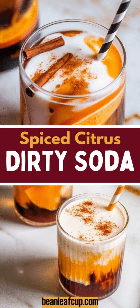 Spiced Citrus Dirty Soda