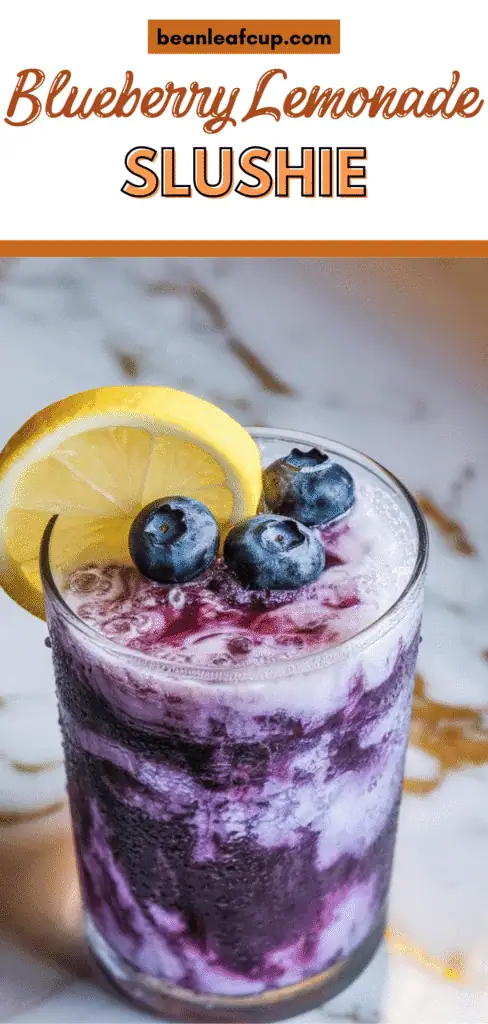 Blueberry Lemonade Slushie