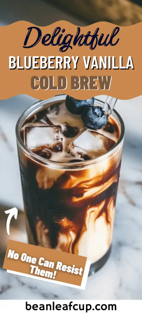 Blueberry Vanilla Cold Brew