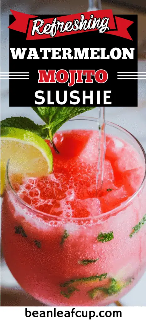 Watermelon Mojito Slushie