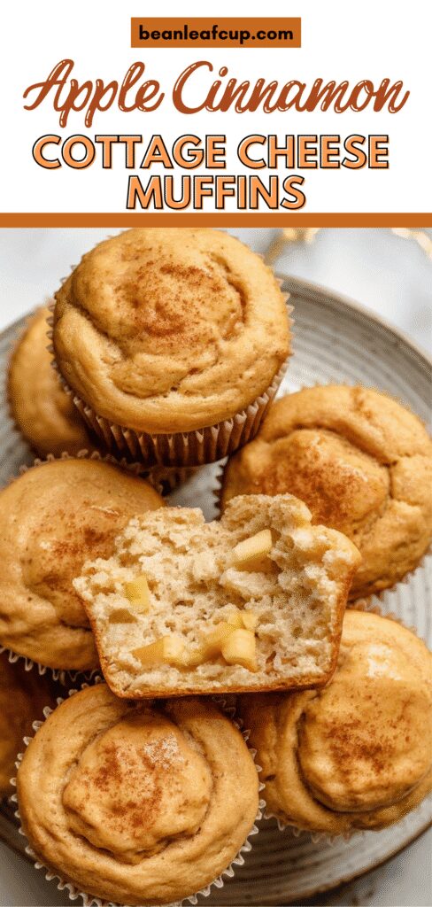 Apple Cinnamon Cottage Cheese Muffins