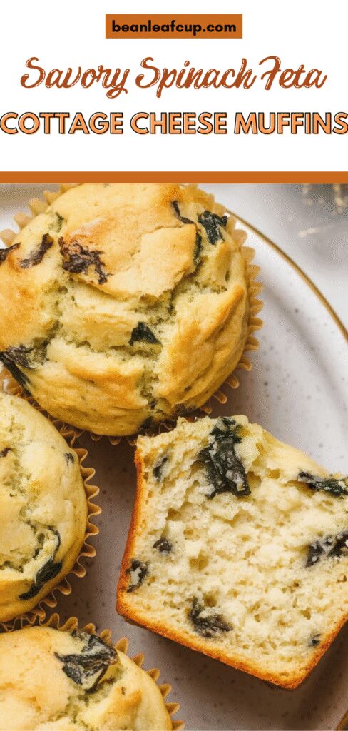 Savory Spinach Feta Cottage Cheese Muffins