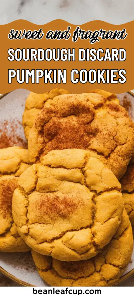 Sourdough Discard Pumpkin Cookies