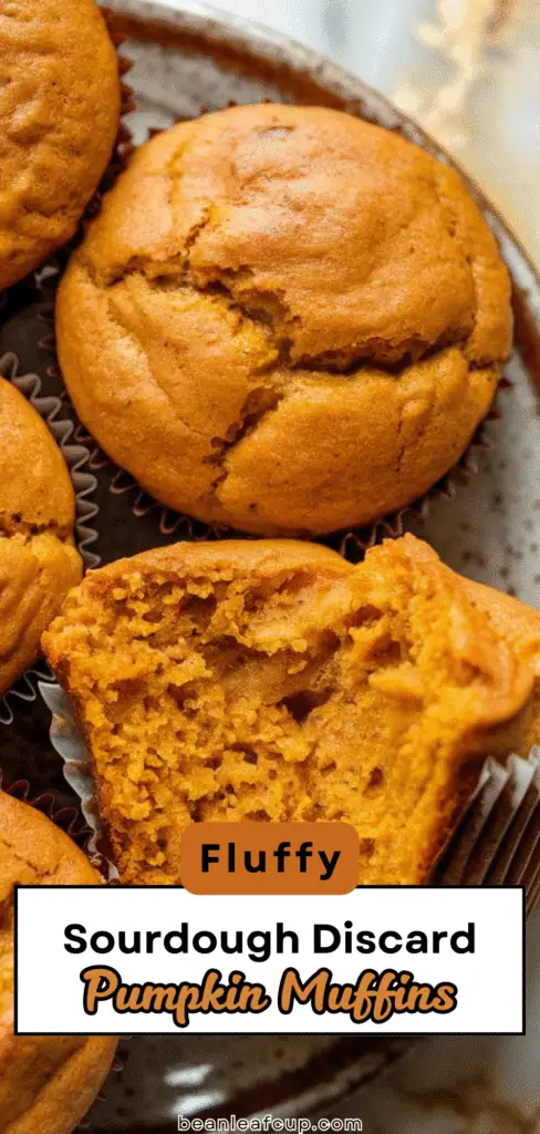 Sourdough Discard Pumpkin Muffins