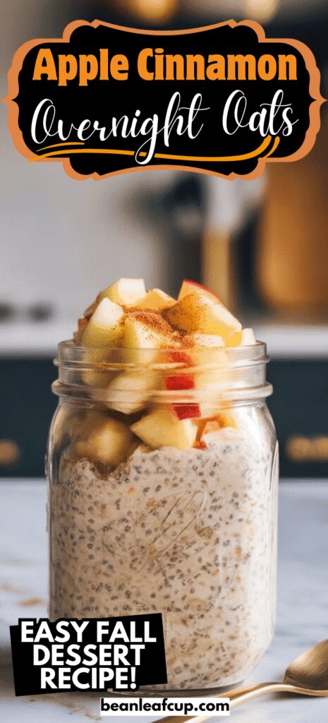 Apple Cinnamon Overnight Oats