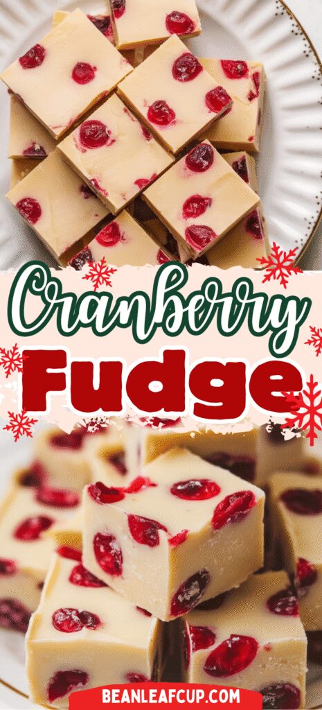 Cranberry Fudge