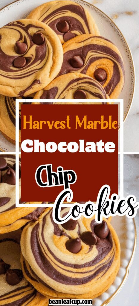 Harvest Marble Chocolate Chip Cookies