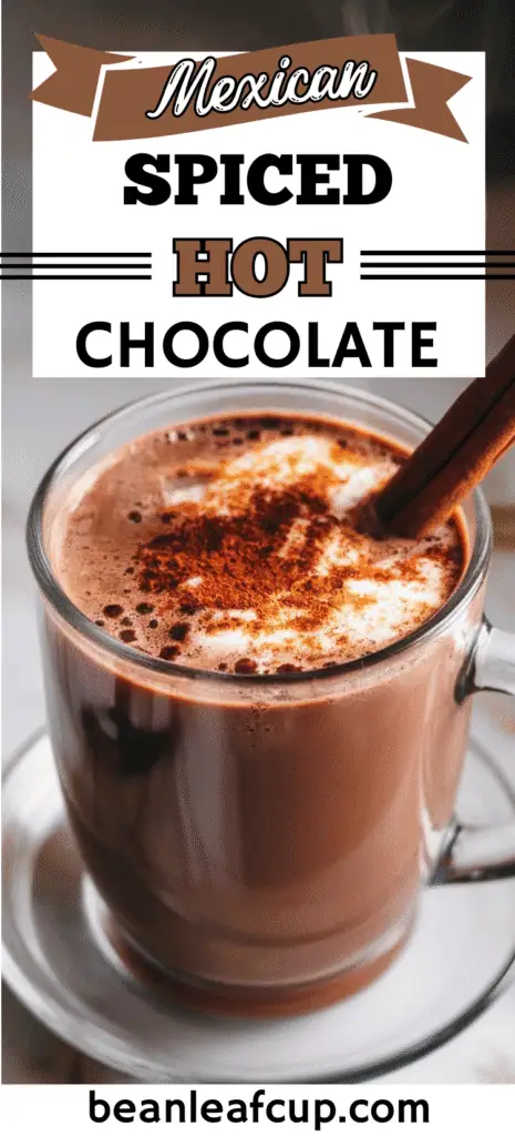 Mexican Spiced Hot Chocolate