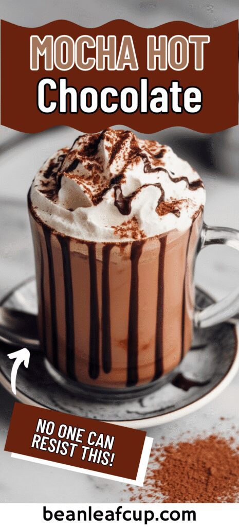 Mocha Hot Chocolate