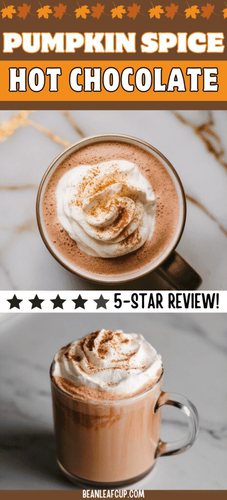 Pumpkin Spice Hot Chocolate