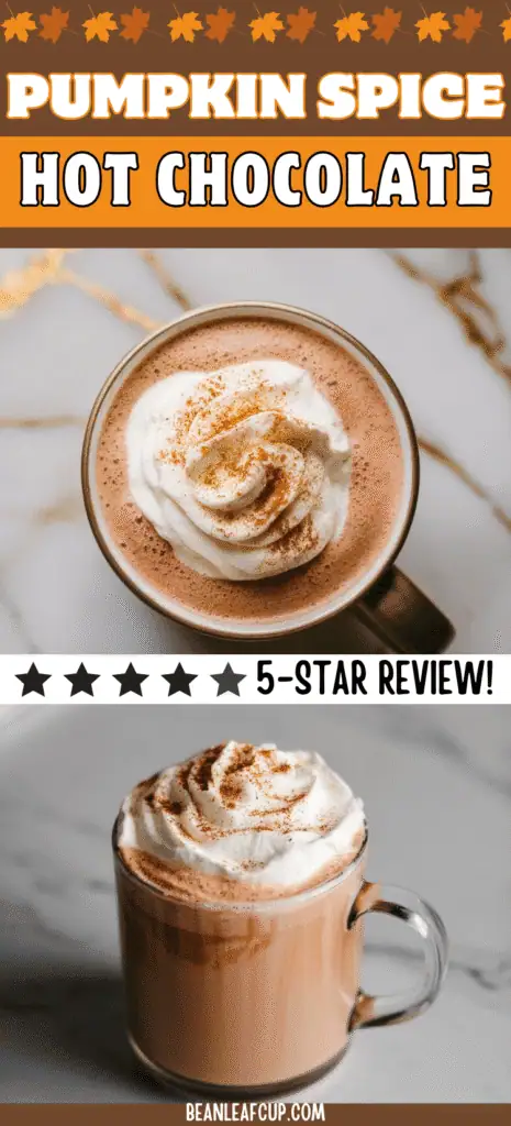 Pumpkin Spice Hot Chocolate