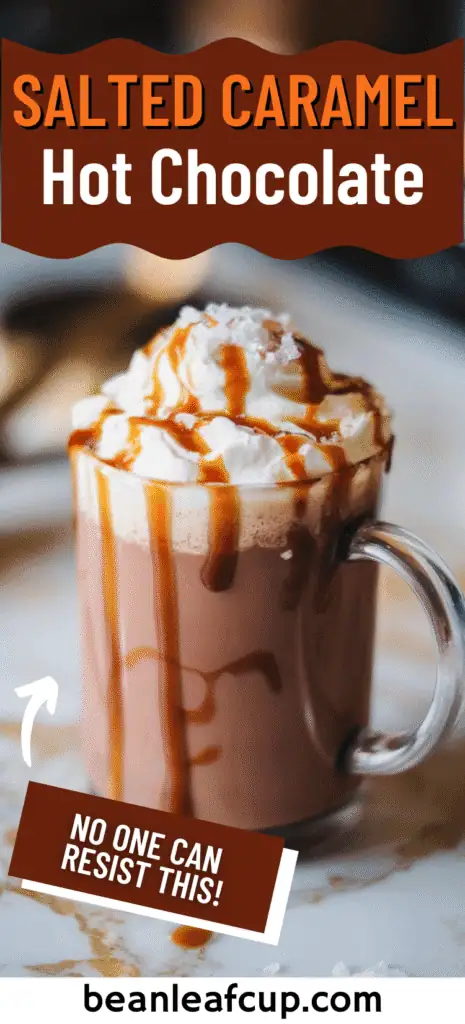 Salted Caramel Hot Chocolate