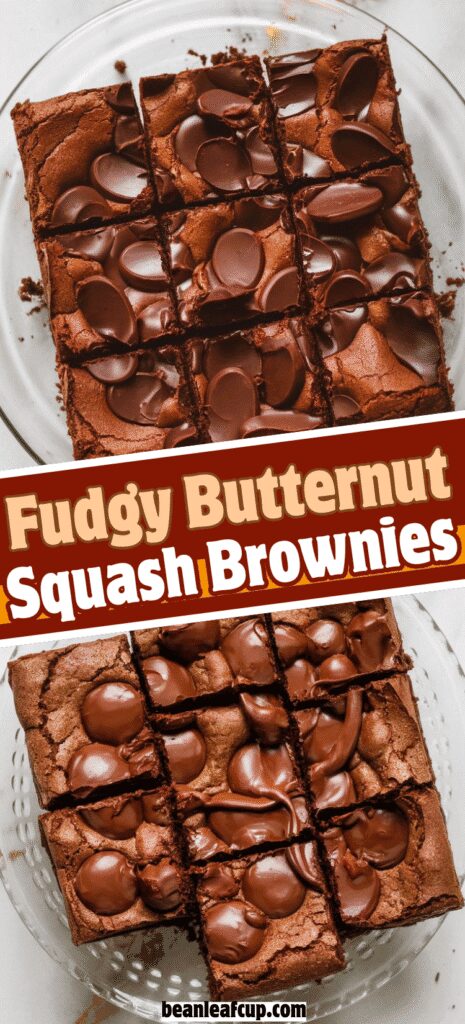 Fudgy Butternut Squash Brownies