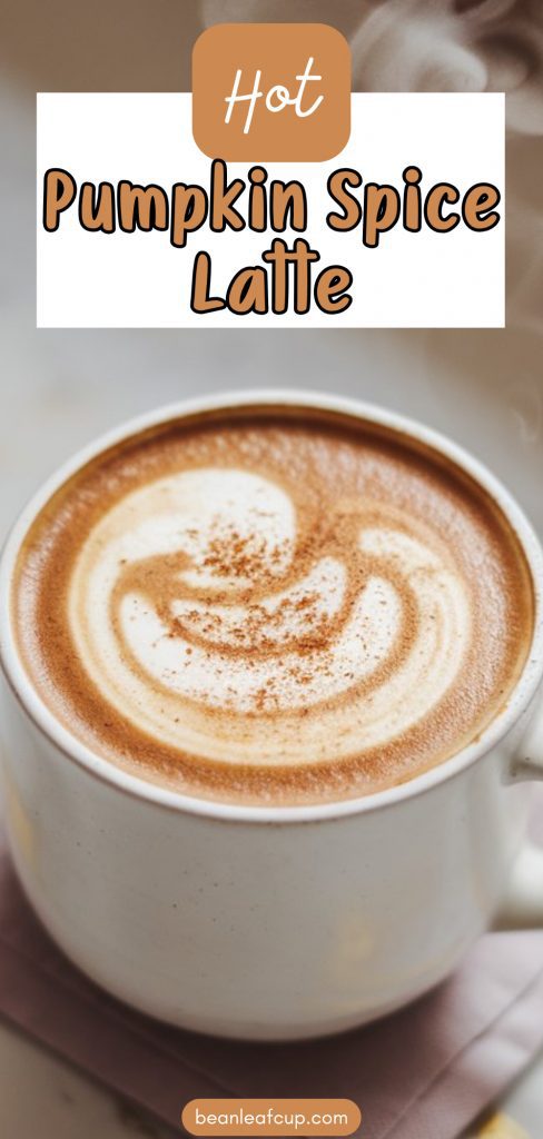 Hot Pumpkin Spice Latte