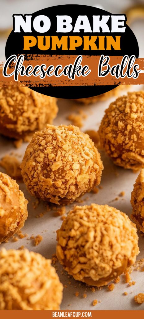 No Bake Pumpkin Cheesecake Balls 5