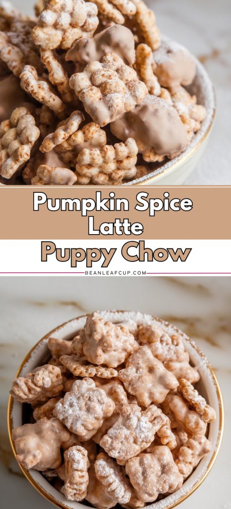 Pumpkin Spice Latte Puppy Chow