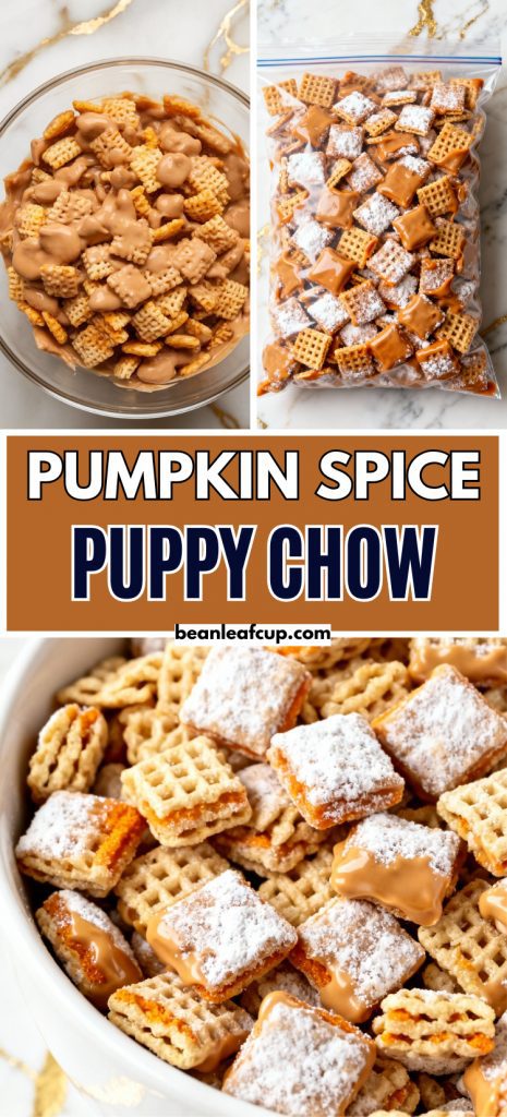 Pumpkin Spice Puppy Chow