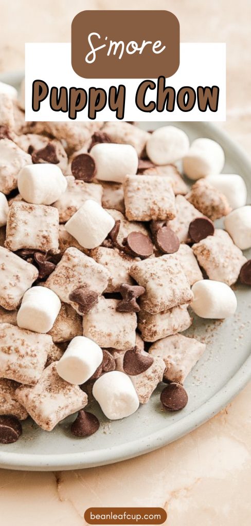 S’mores Puppy Chow