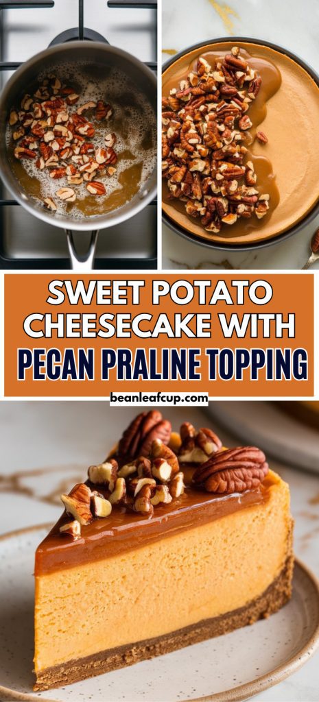 Sweet Potato Cheesecake with Pecan Praline Topping