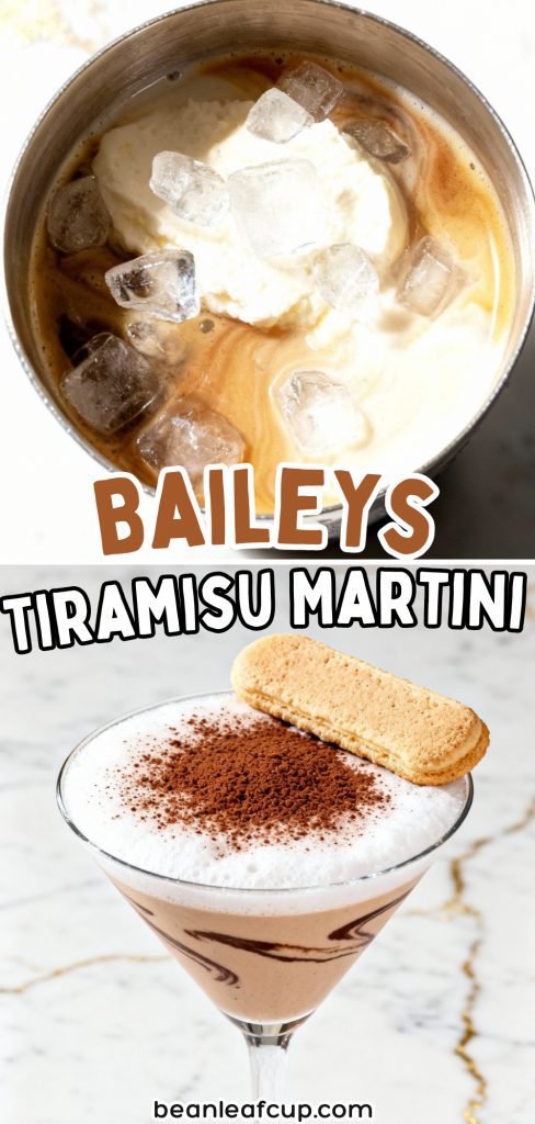 Baileys Espresso Martini 5